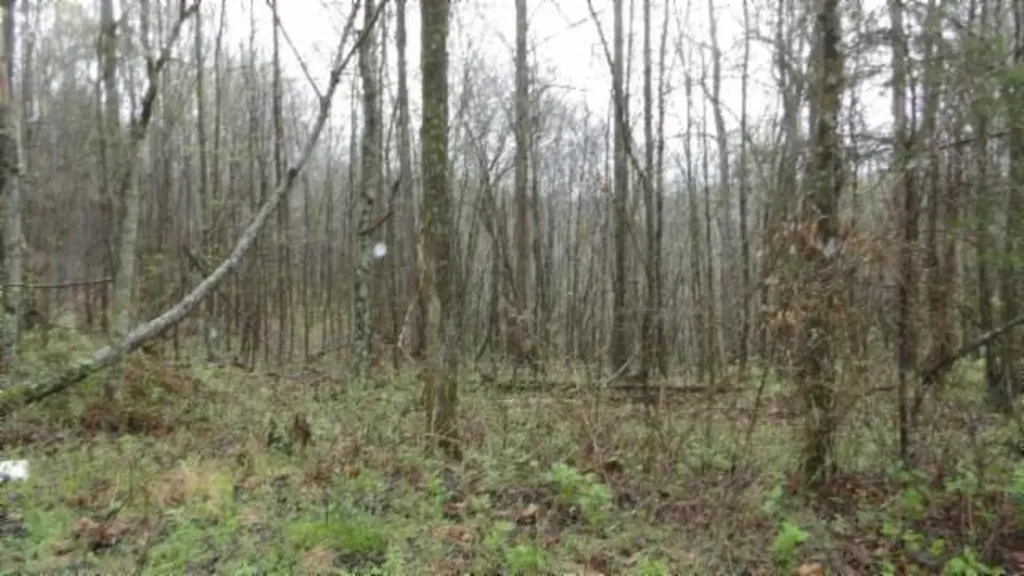 20.27AC Denton Road Moss TN 38575