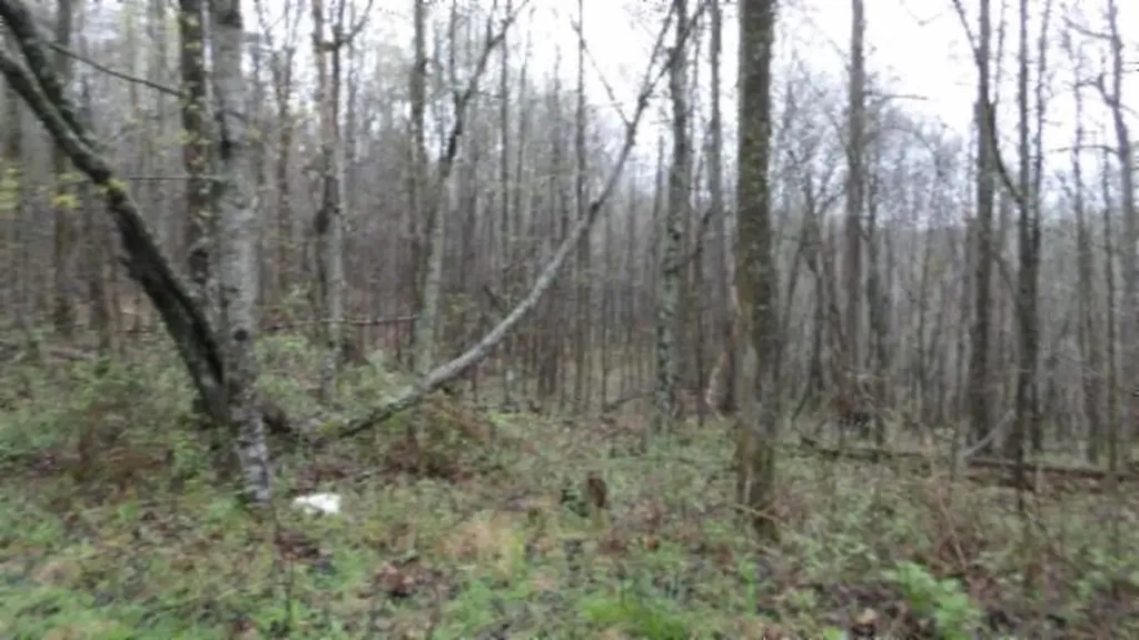 20.27AC Denton Road Moss TN 38575