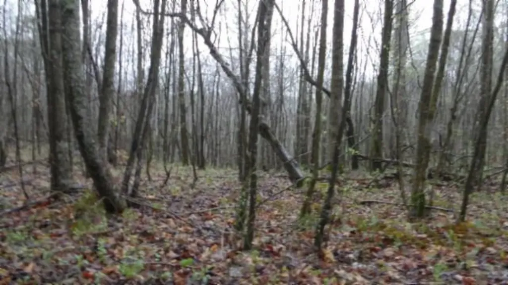 20.27AC Denton Road Moss TN 38575