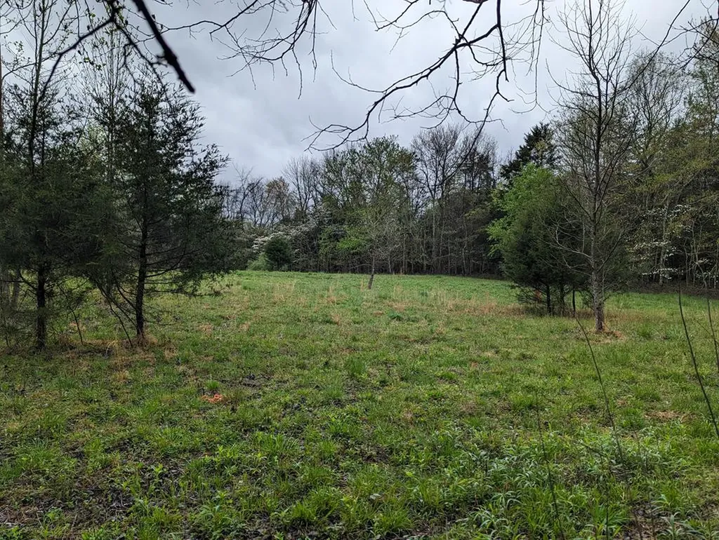 20.27AC Denton Road Moss TN 38575