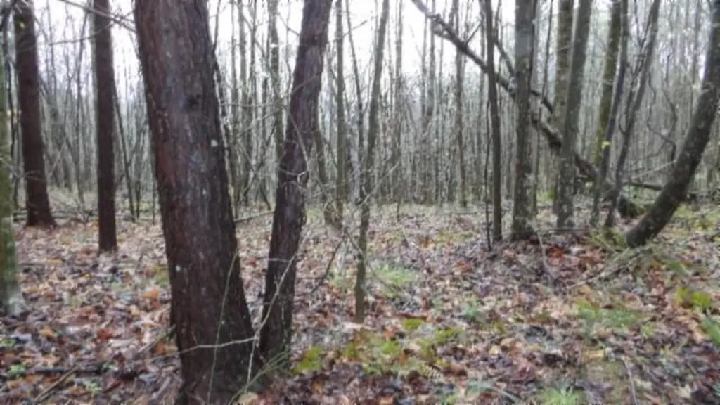 20.27AC Denton Road Moss TN 38575