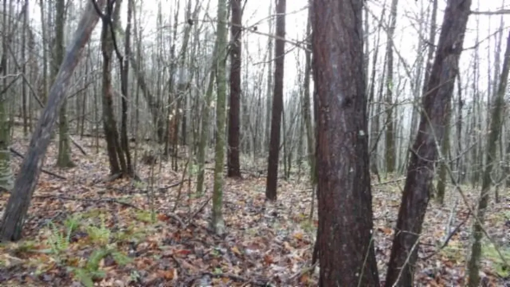 20.27AC Denton Road Moss TN 38575