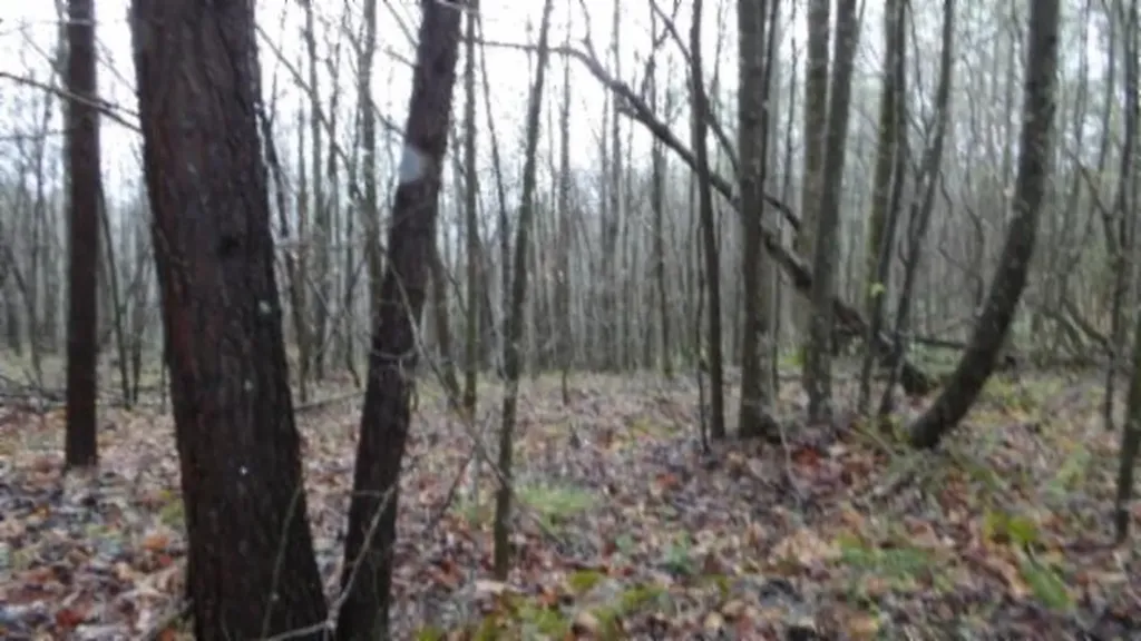 20.27AC Denton Road Moss TN 38575