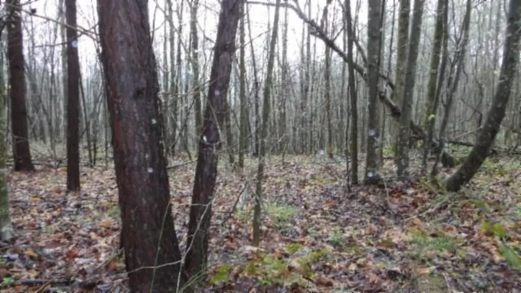 20.27AC Denton Road Moss TN 38575