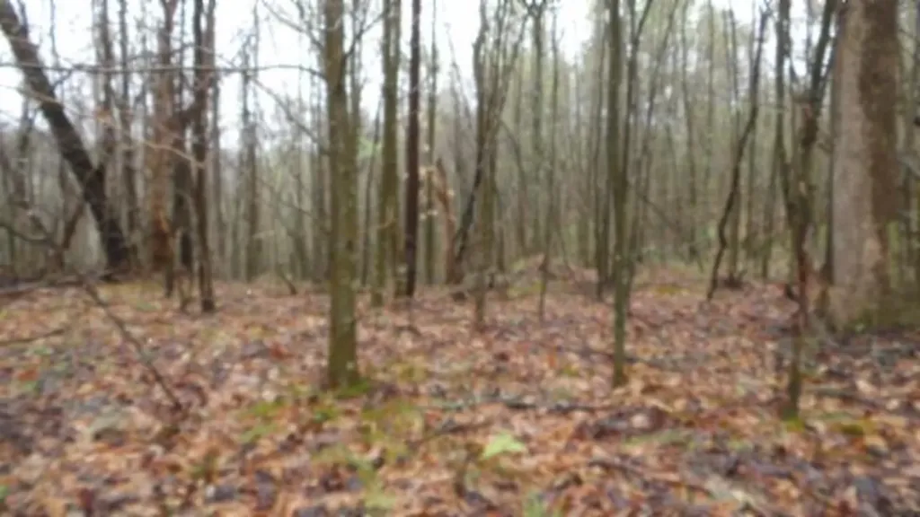 20.27AC Denton Road Moss TN 38575
