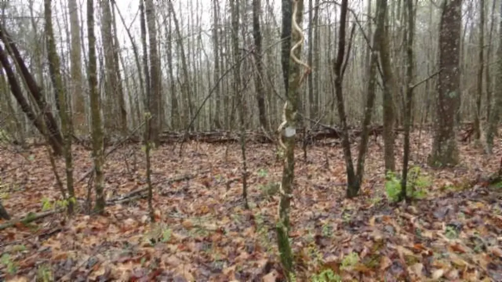 20.27AC Denton Road Moss TN 38575