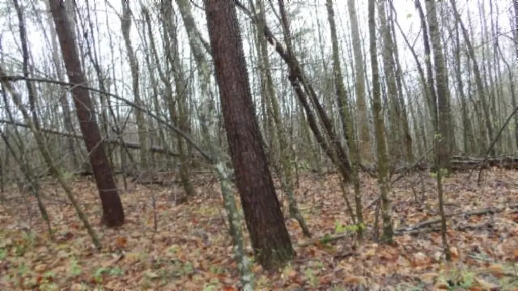 20.27AC Denton Road Moss TN 38575