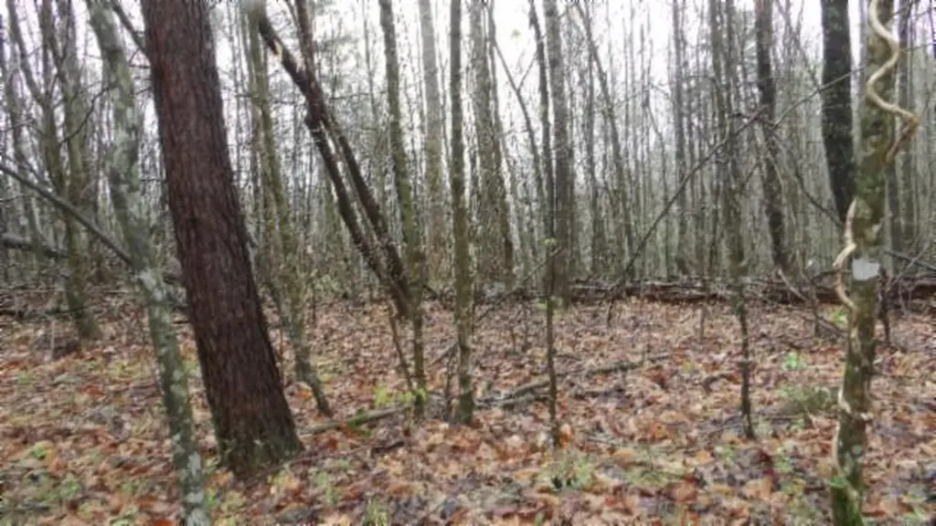 20.27AC Denton Road Moss TN 38575