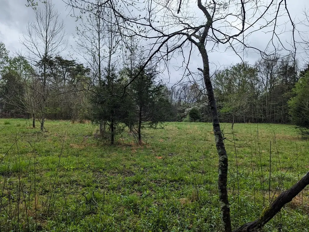 20.27AC Denton Road Moss TN 38575