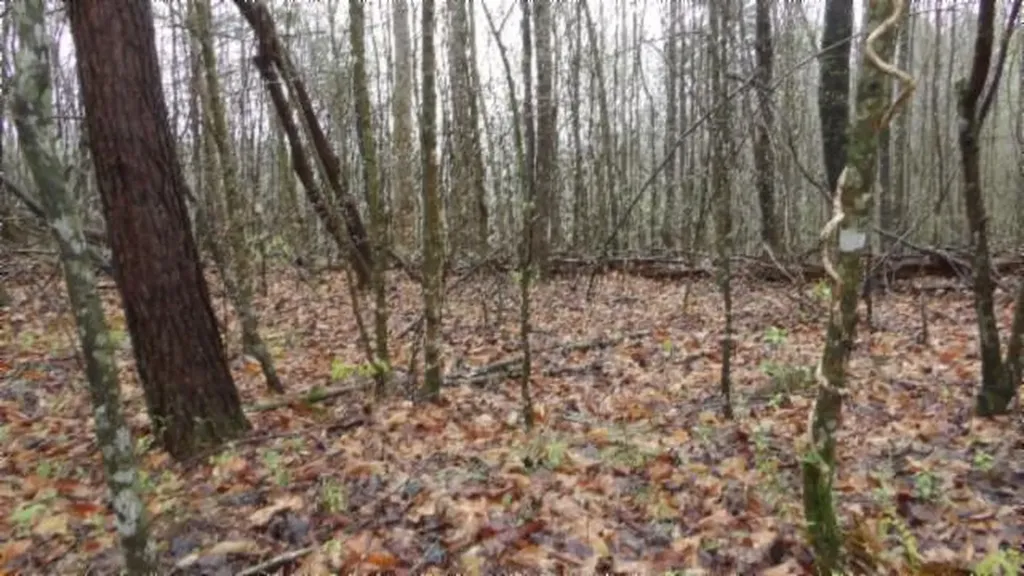 20.27AC Denton Road Moss TN 38575