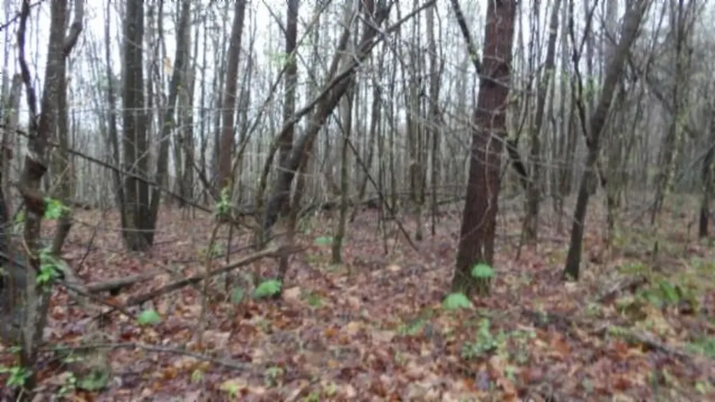 20.27AC Denton Road Moss TN 38575