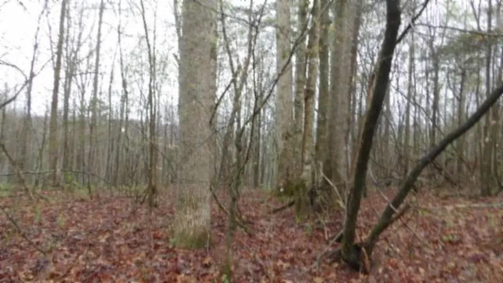 20.27AC Denton Road Moss TN 38575