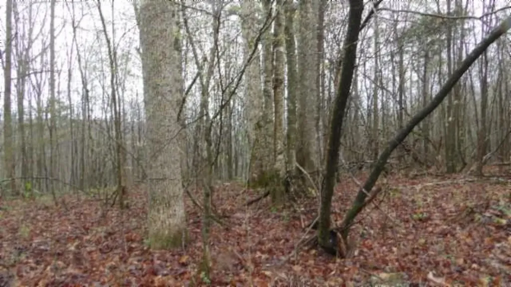20.27AC Denton Road Moss TN 38575