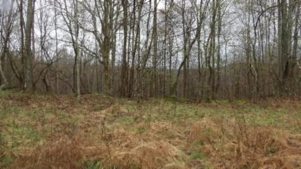 20.27AC Denton Road Moss TN 38575