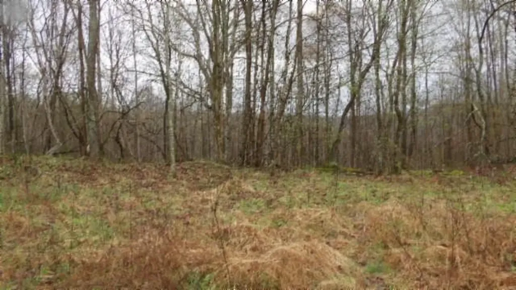 20.27AC Denton Road Moss TN 38575