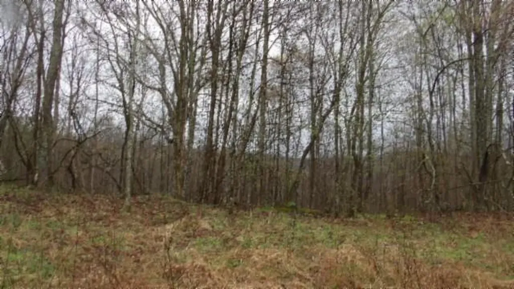 20.27AC Denton Road Moss TN 38575