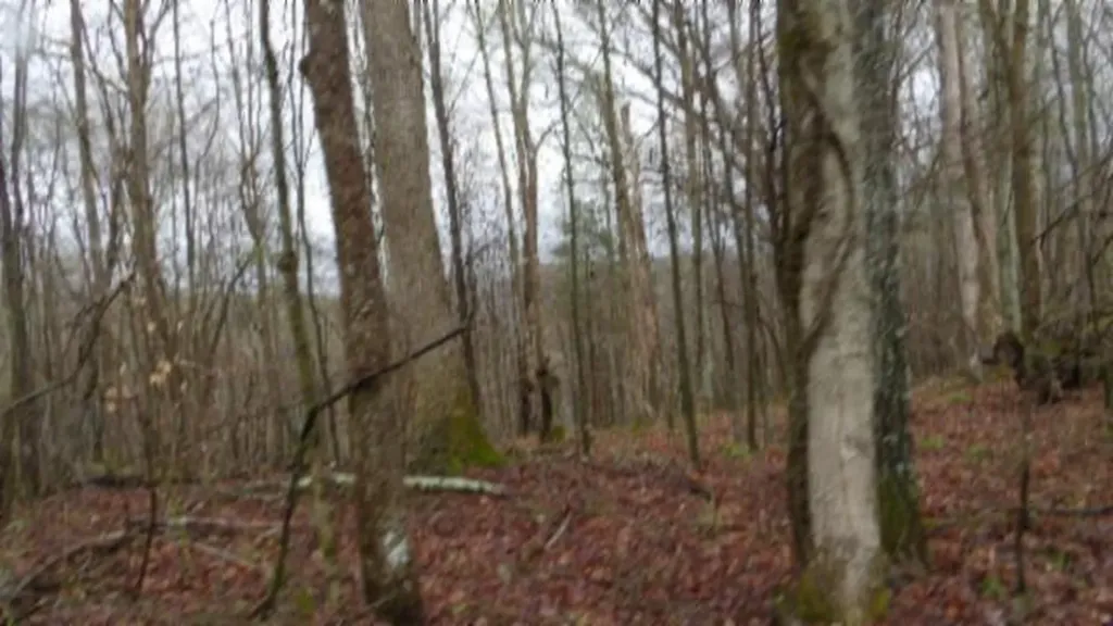 20.27AC Denton Road Moss TN 38575
