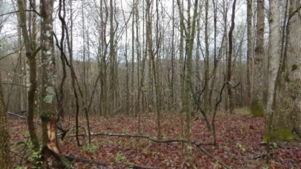 20.27AC Denton Road Moss TN 38575
