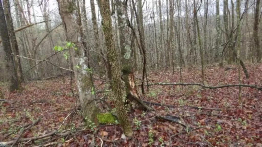 20.27AC Denton Road Moss TN 38575