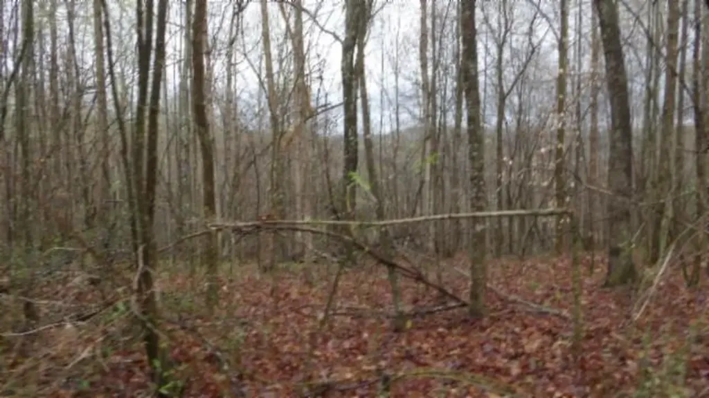 20.27AC Denton Road Moss TN 38575