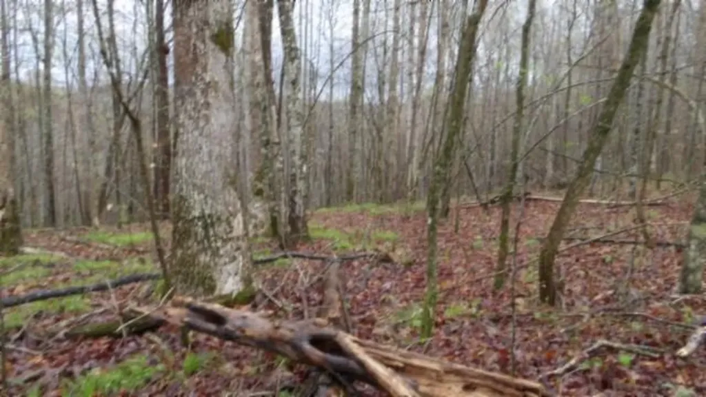 20.27AC Denton Road Moss TN 38575