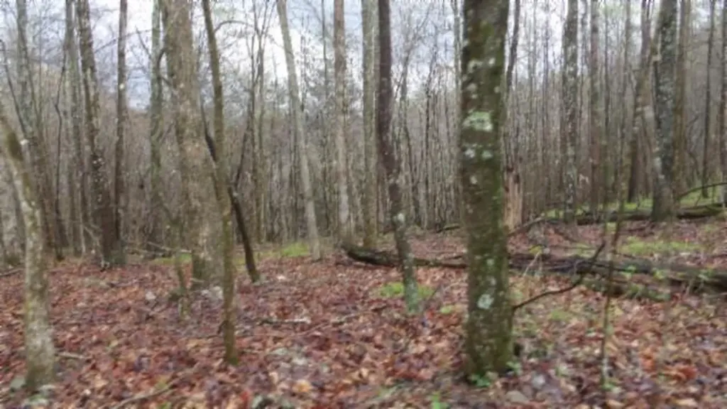 20.27AC Denton Road Moss TN 38575