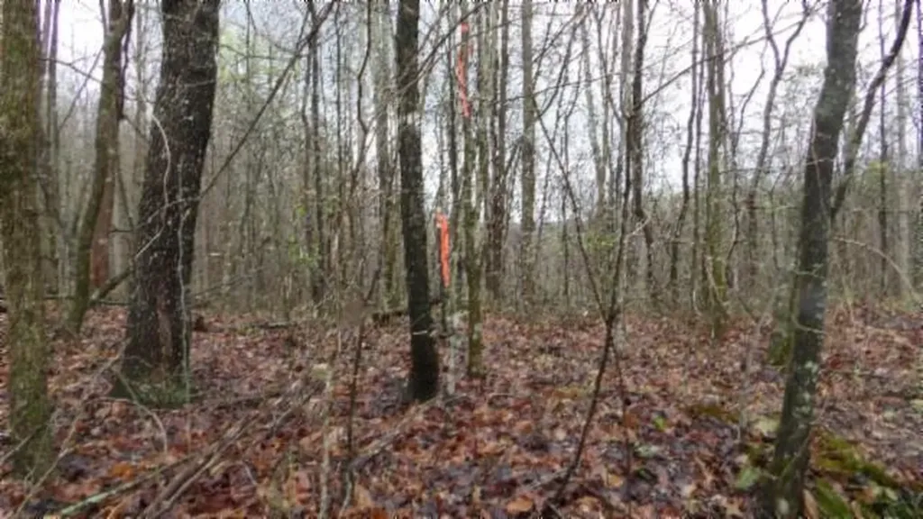 20.27AC Denton Road Moss TN 38575