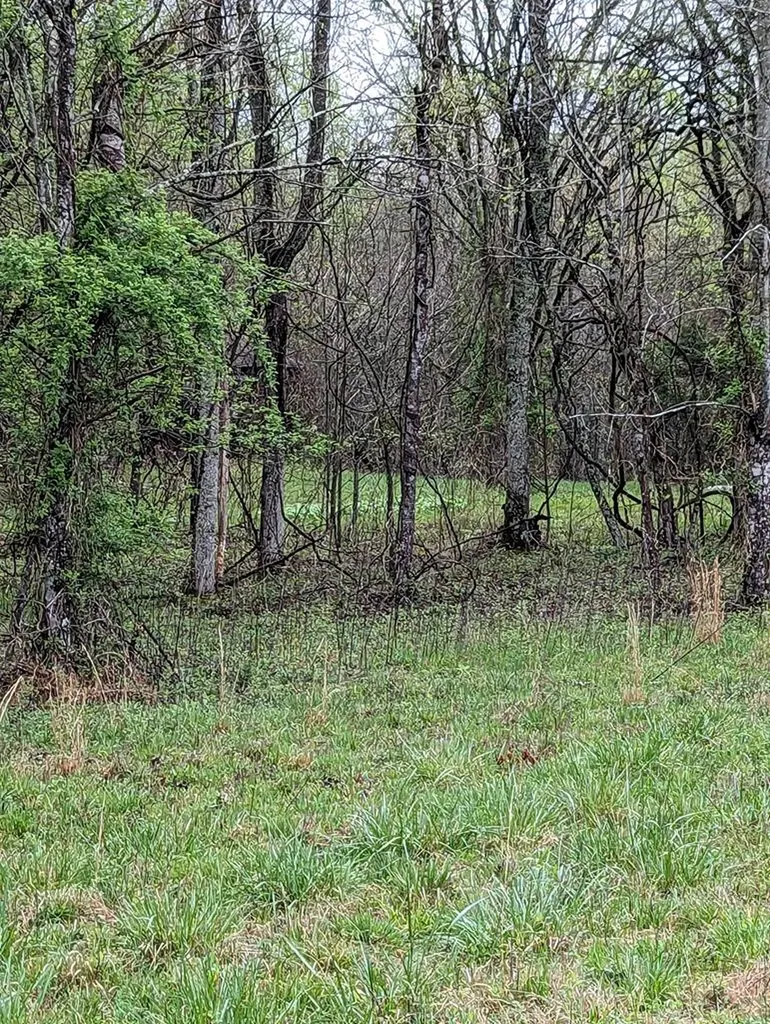 20.27AC Denton Road Moss TN 38575