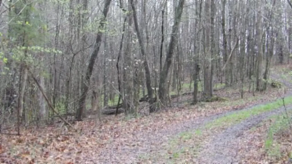 20.27AC Denton Road Moss TN 38575
