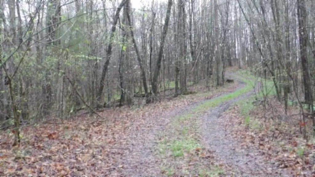 20.27AC Denton Road Moss TN 38575