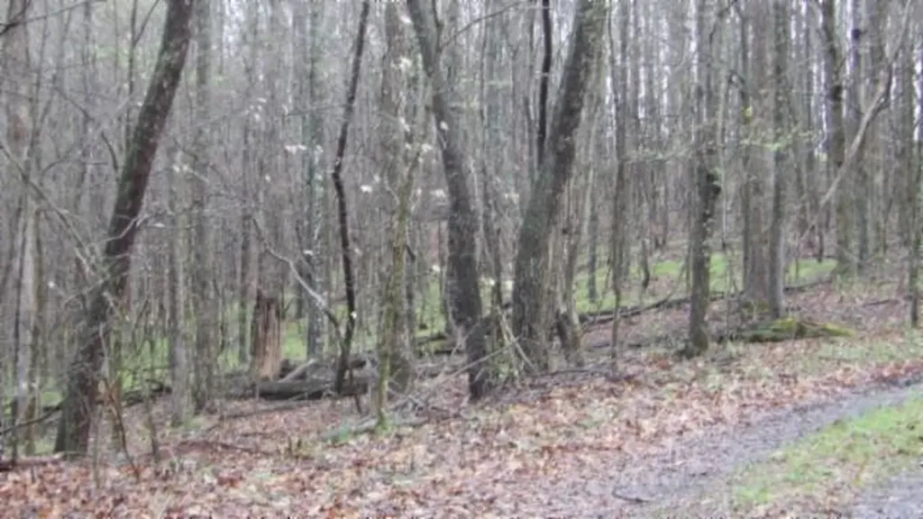 20.27AC Denton Road Moss TN 38575