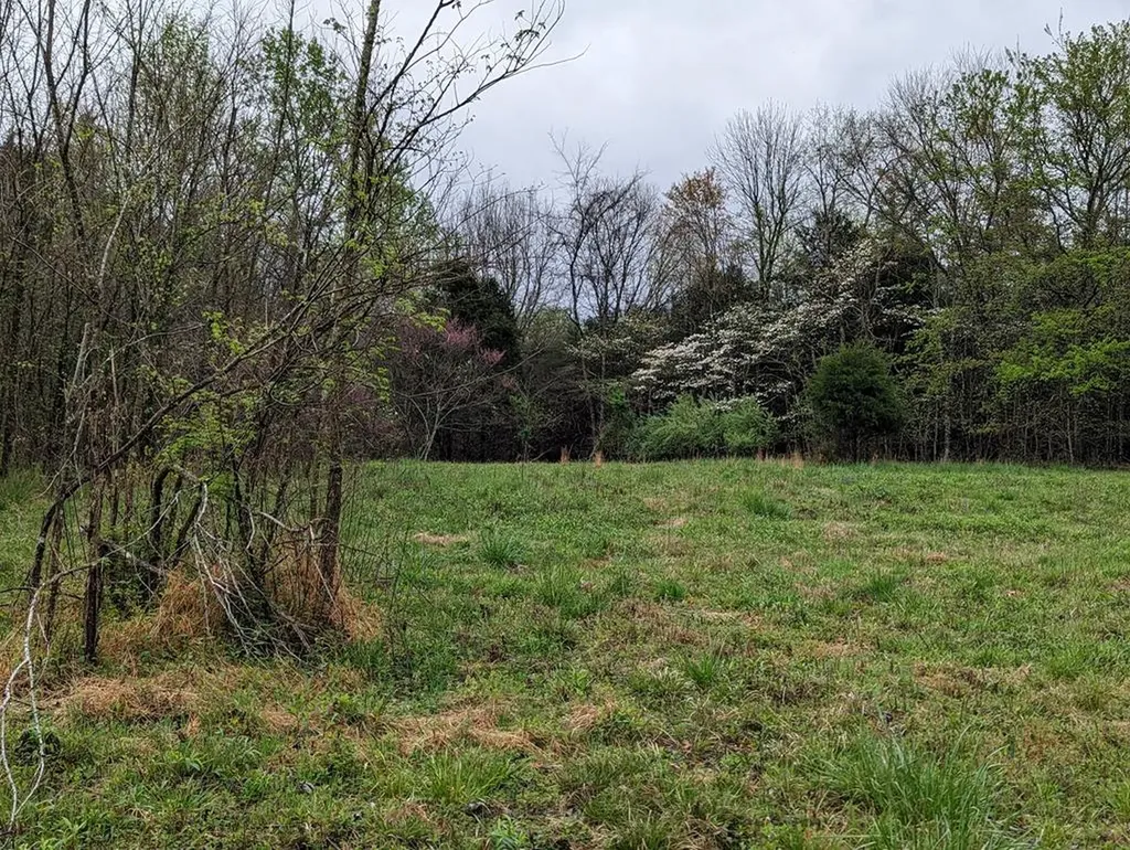 20.27AC Denton Road Moss TN 38575
