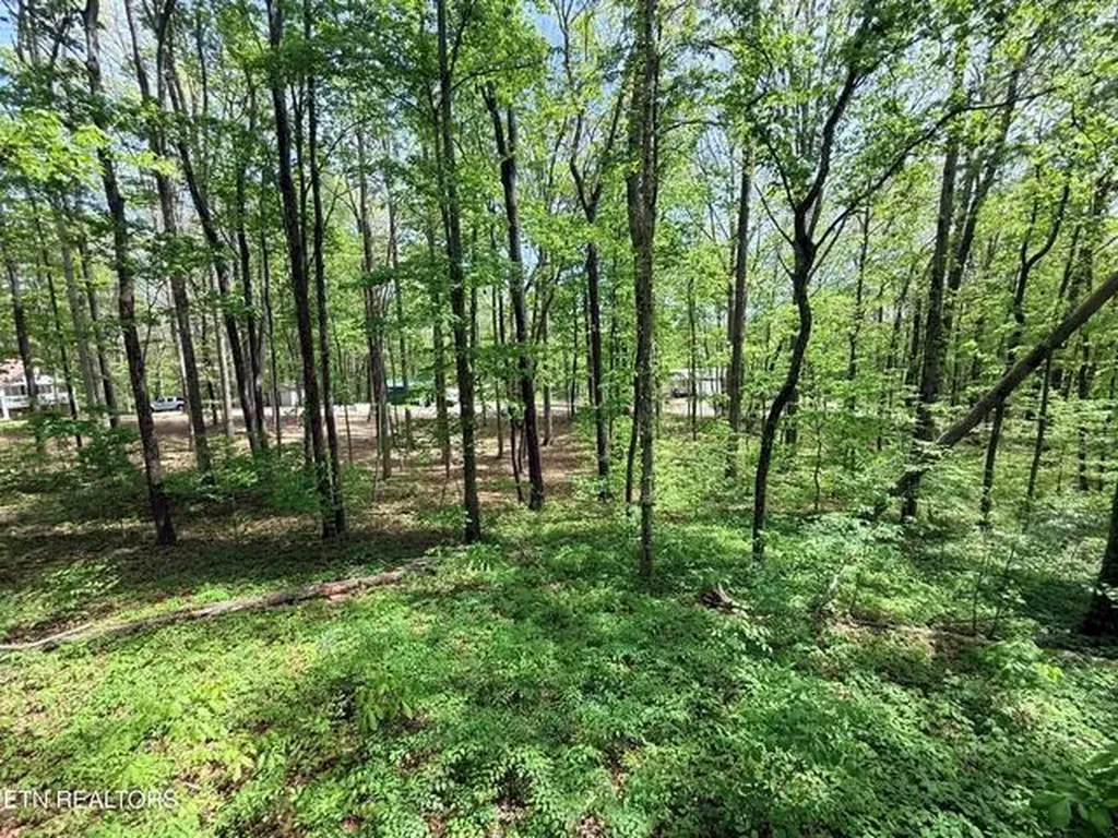 549 Yellow Cliff Estates Road Jamestown TN 38556-2123