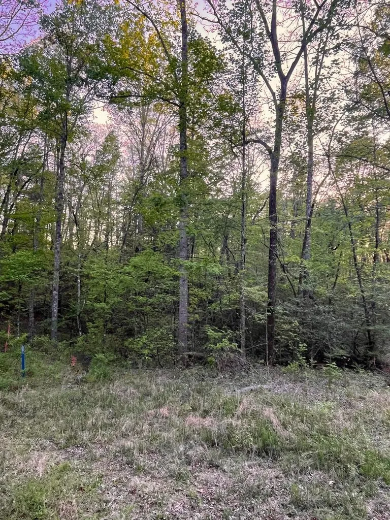 0 Kiddie Circle Crossville TN 38572