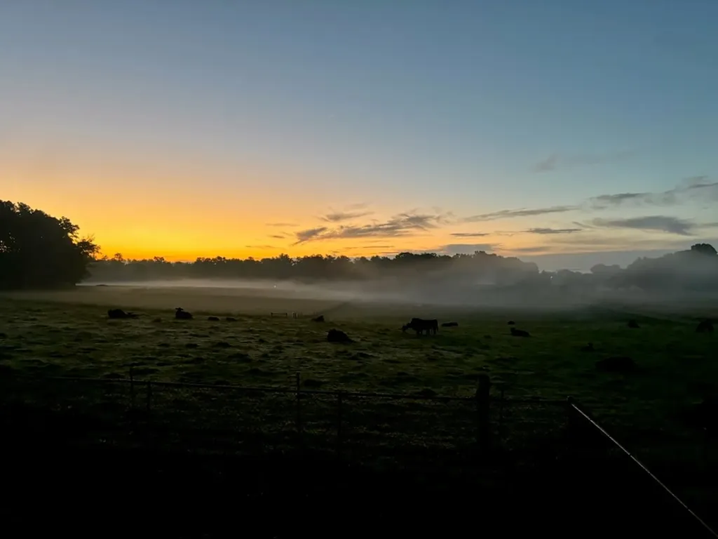 652 Clog Valley Drive Sparta TN 38583