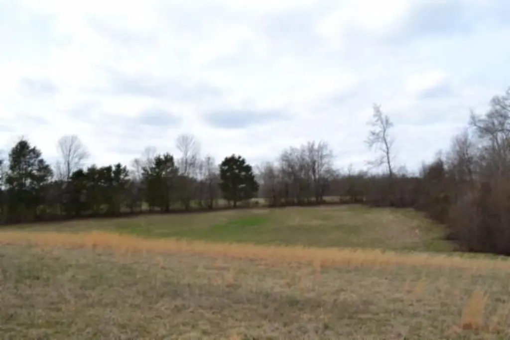 Lot 3 Sunset Drive Smithville TN 37166