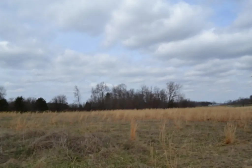 Lot 3 Sunset Drive Smithville TN 37166