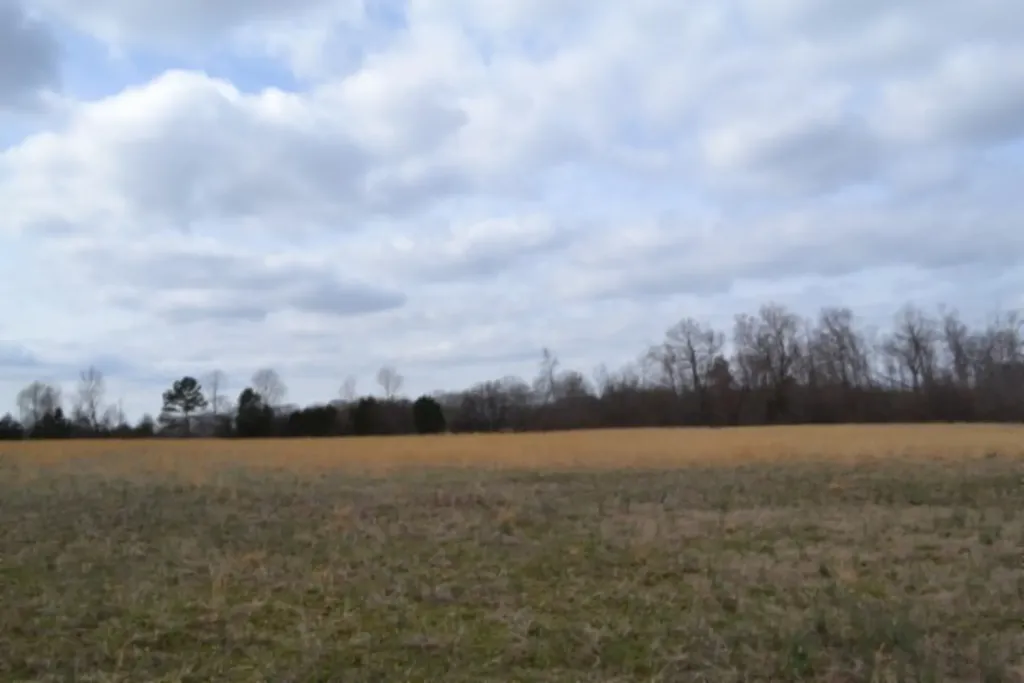 Lot 3 Sunset Drive Smithville TN 37166