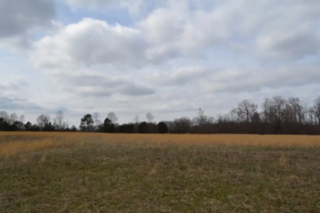Lot 3 Sunset Drive Smithville TN 37166