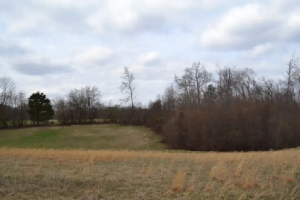 Lot 3 Sunset Drive Smithville TN 37166