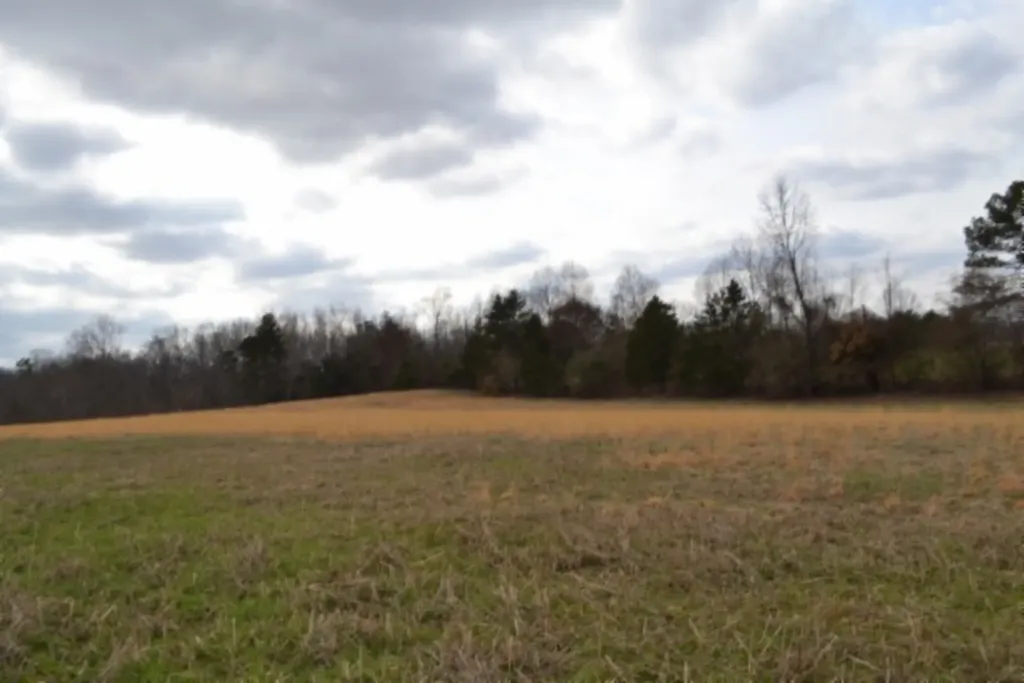 Lot 3 Sunset Drive Smithville TN 37166