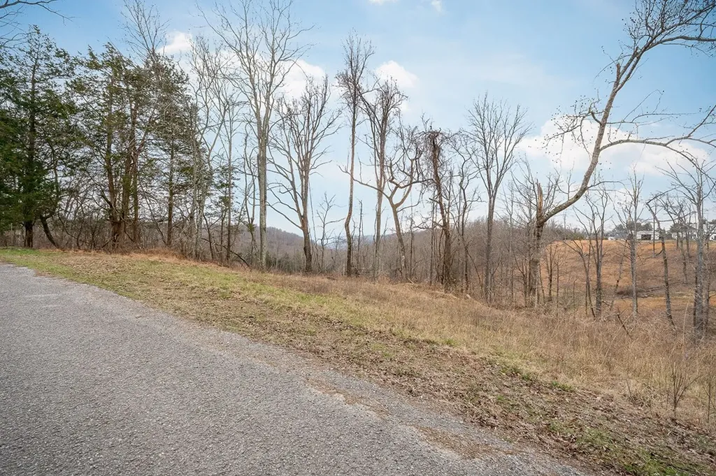 301 Andy Haney Road Cookeville TN 38506