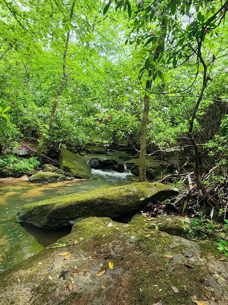 911 Spearhead Circle Clarkrange TN 38553