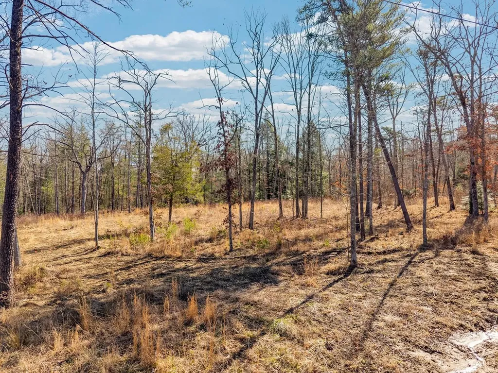 911 Spearhead Circle Clarkrange TN 38553