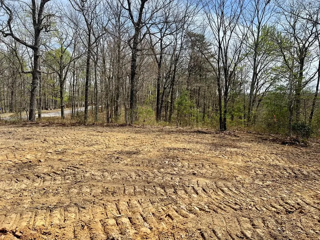 Lot 28 Star Point Road Jamestown TN 38556