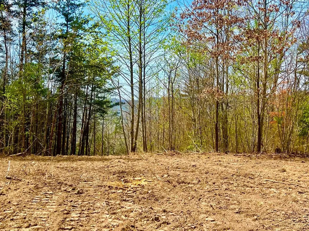 Lot 28 Star Point Road Jamestown TN 38556