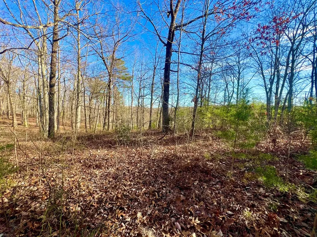 Lot 28 Star Point Road Jamestown TN 38556
