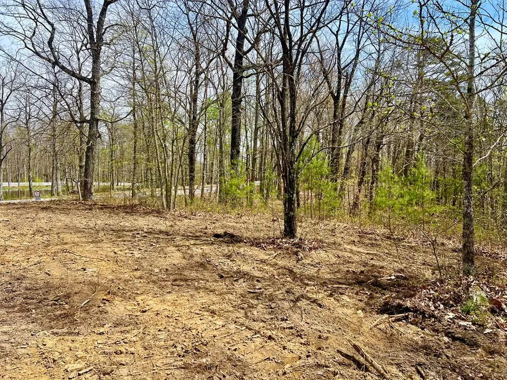 Lot 28 Star Point Road Jamestown TN 38556