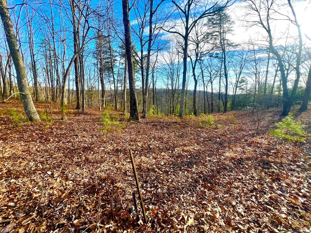 Lot 28 Star Point Road Jamestown TN 38556