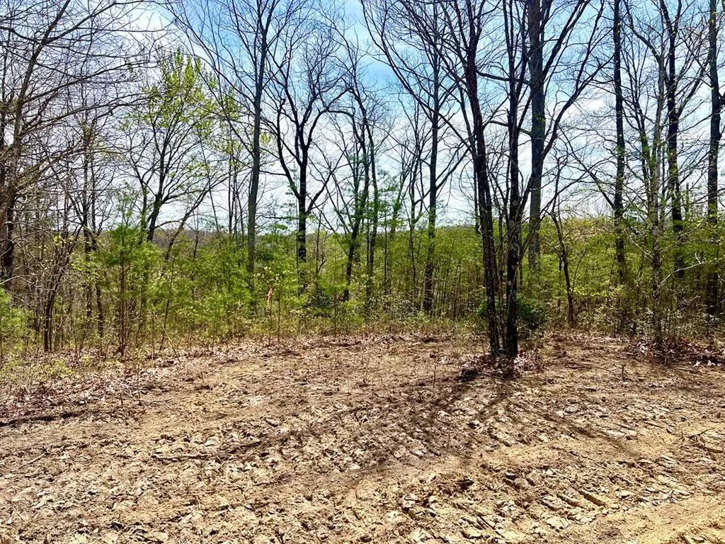 Lot 28 Star Point Road Jamestown TN 38556